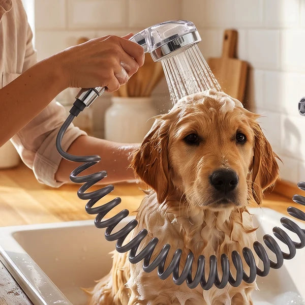 Plastic High Pressure Handheld Shower Head (1 Pc)