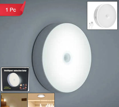 Rechargeable Motion Sensor Night Light (1 Pc)