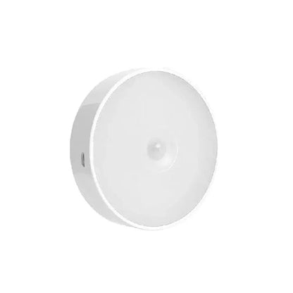 Rechargeable Motion Sensor Night Light (1 Pc)